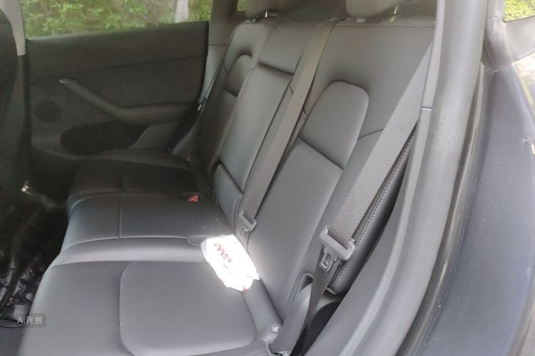 Tesla Model Y 2024 car image #19