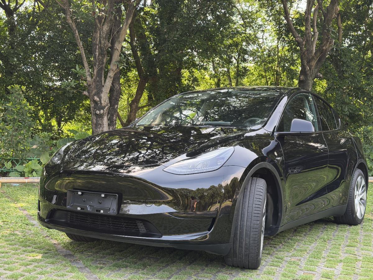 Tesla Model Y 2023 car image 