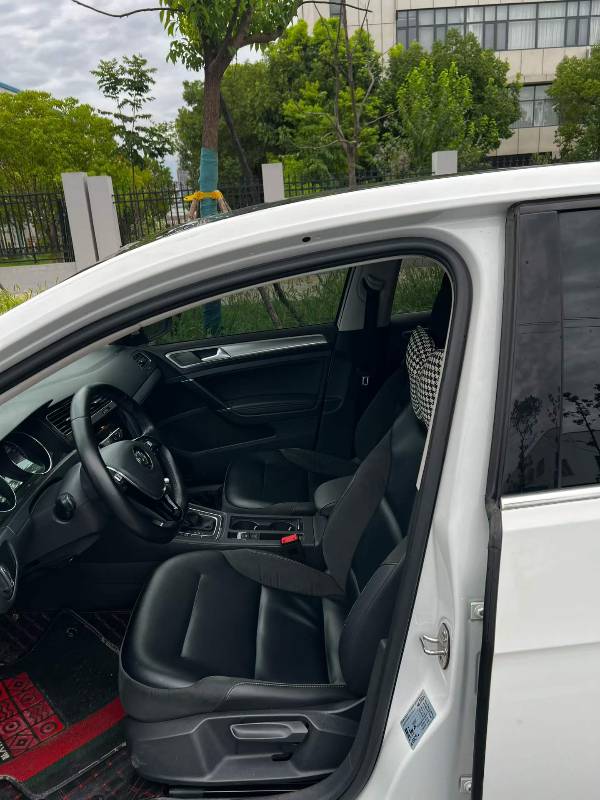 Volkswagen Golf 2019 car image #7