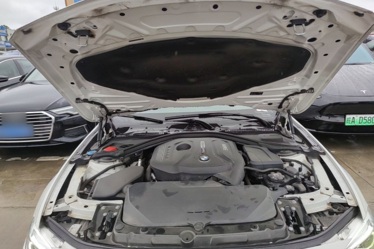 BMW 3 Series 2019 car image #20