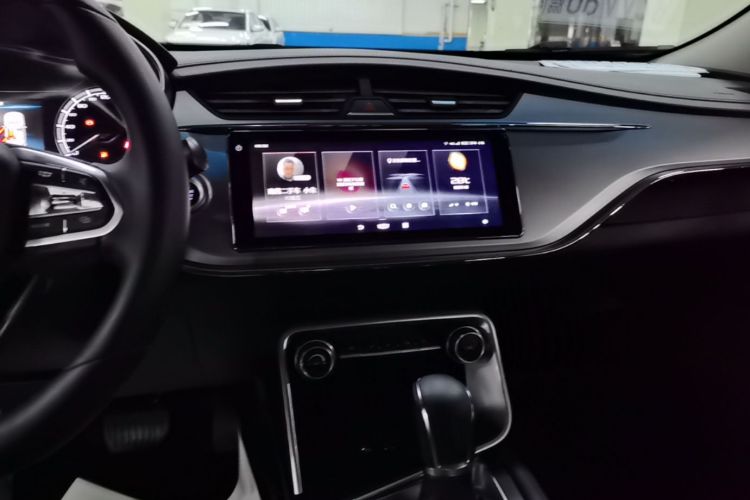 GEELY Binray 2020 изображение автомобиля #13