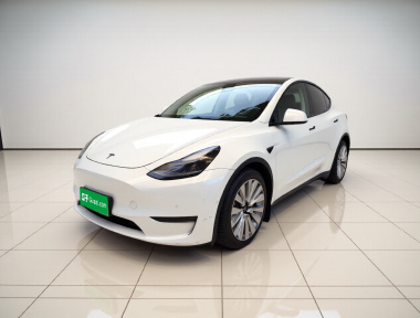 Tesla Model Y 2021 car image 