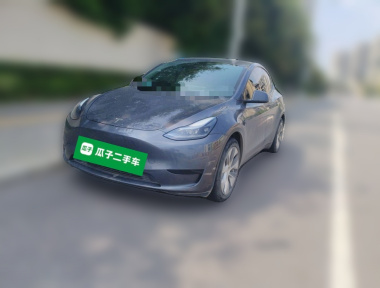 Tesla Model Y 2022 car image 