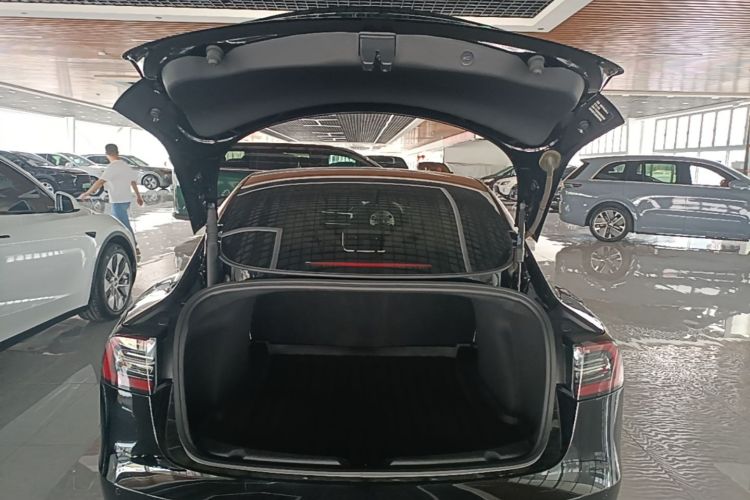 Tesla Model 3 2021 #19 Tesla Model 3 2021 car image #19
