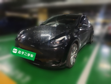 Tesla Model Y 2023 Tesla Model Y 2023 car image
