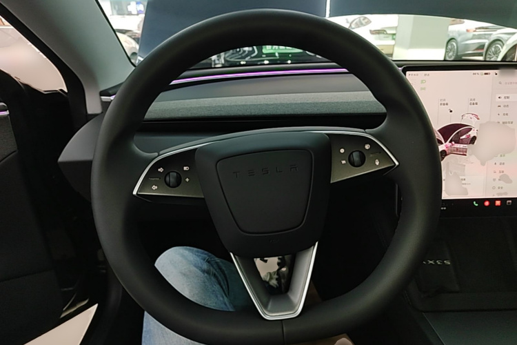 Tesla Model 3 2024 car image #11