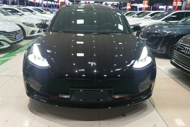 Tesla Model 3 2021 #3 Tesla Model 3 2021 image de voiture #3