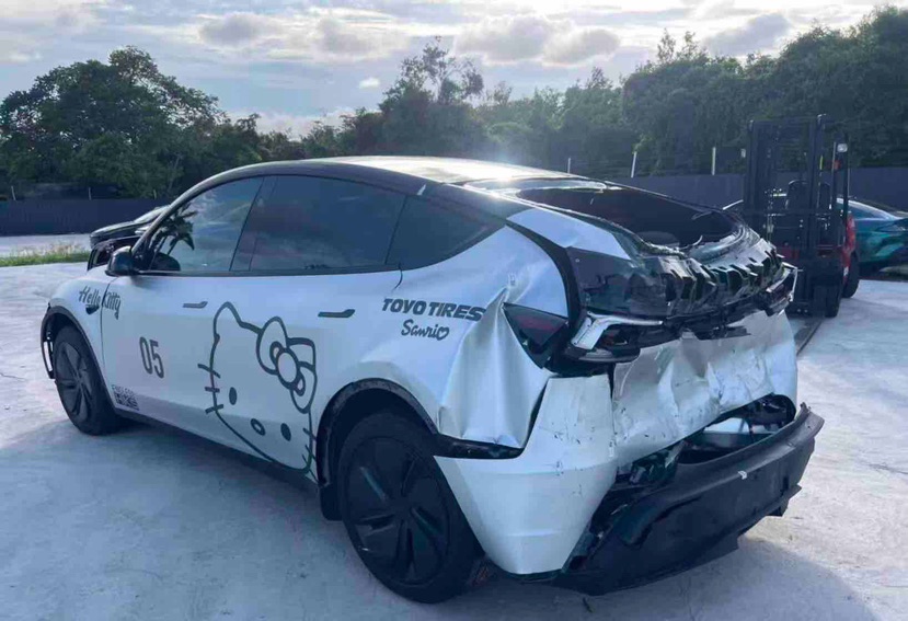 Tesla Model Y 2025 car image #11