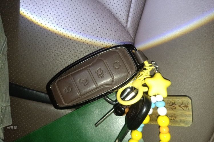 BYD Han 2020 car image #10