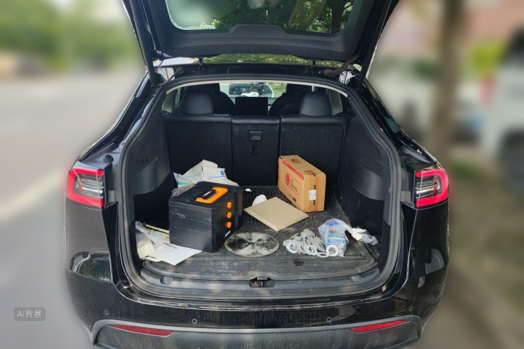 Tesla Model Y 2021 car image #21