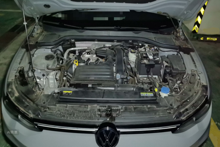 大众 高尔夫 2022 汽车图片 #11