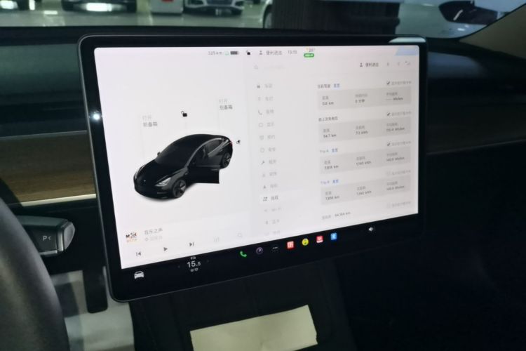 Tesla Model 3 2021 #17 Tesla Model 3 2021 car image #17