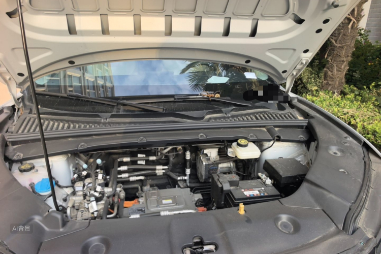 BYD YuanUP 2023 car image #22