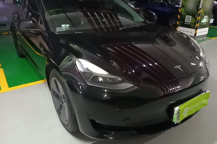Tesla Model 3 2021 #6 Tesla Model 3 2021 car image #6