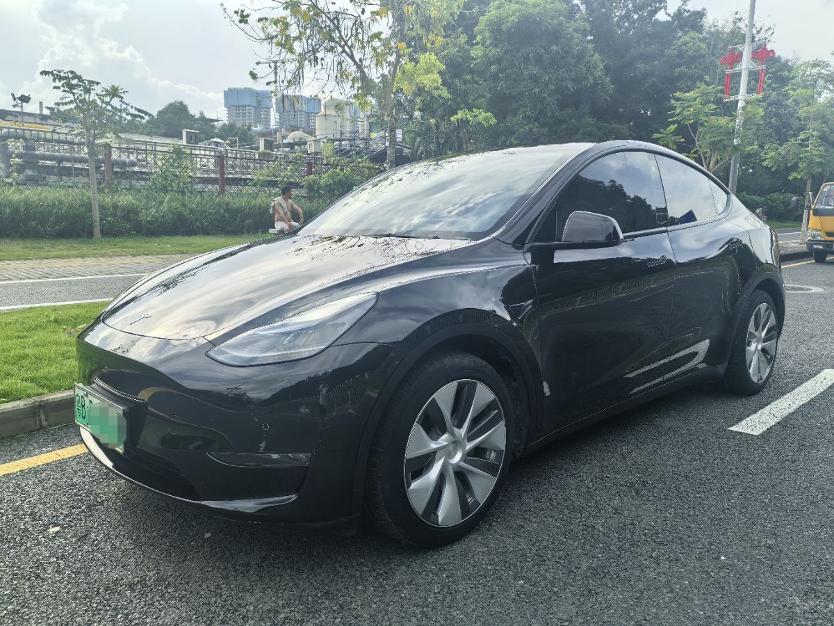 Tesla Model Y 2022 car image 