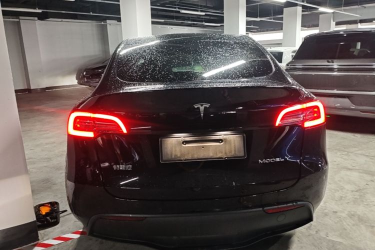 Tesla Model Y 2022 immagine di auto #6