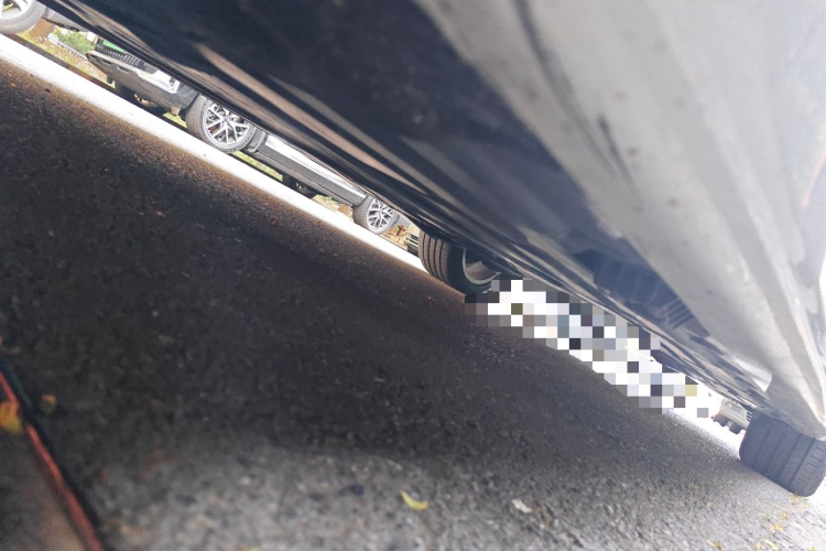 BMW 3 Series 2018 car image #26