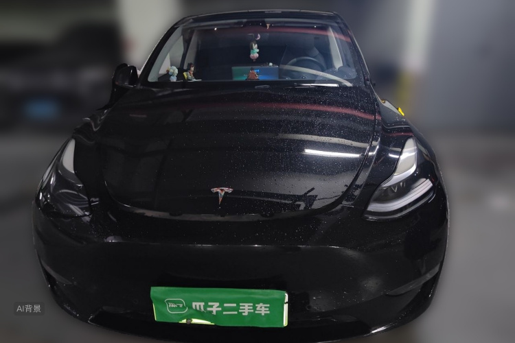Tesla Model Y 2021 #3 Tesla Model Y 2021 immagine di auto #3