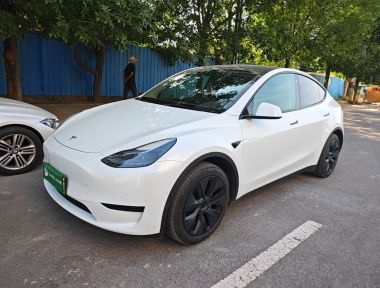 Tesla Model Y 2022 Tesla Model Y 2022 car image