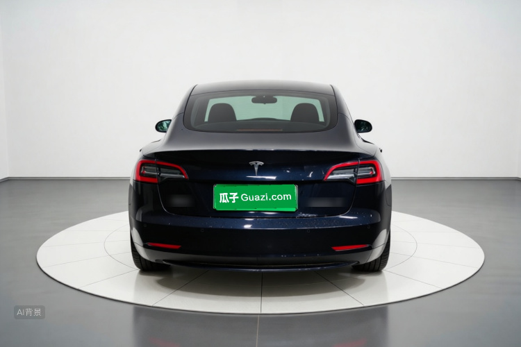 Tesla Model 3 2021 #6 Tesla Model 3 2021 car image #6