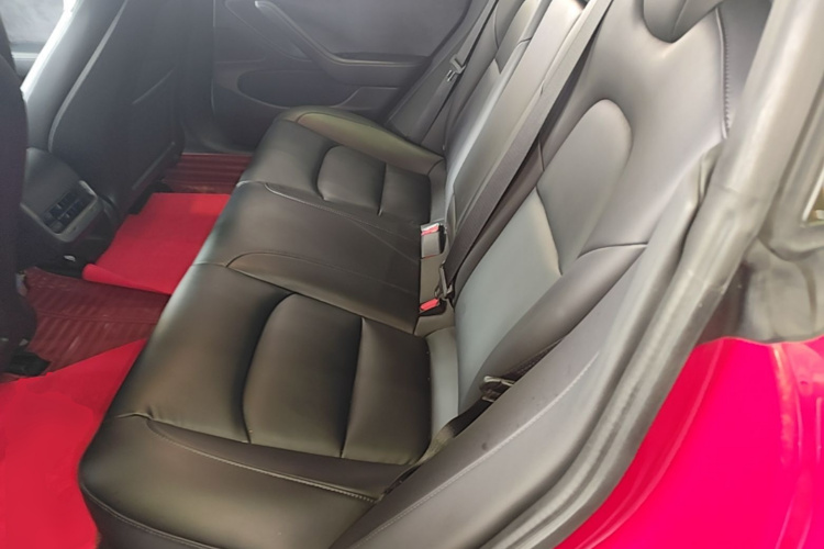 Tesla Model 3 2020 car image #17