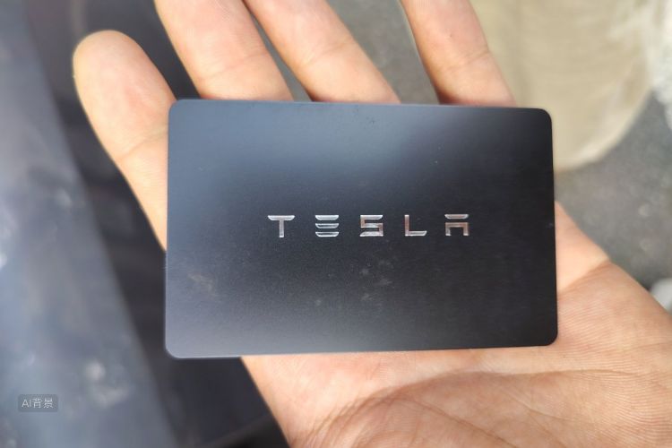Tesla Model 3 2022 #10 Tesla Model 3 2022 car image #10