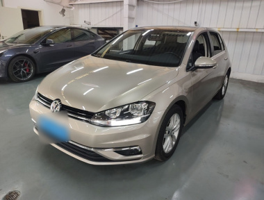 Volkswagen Golf 2019 Volkswagen Golf 2019 car image