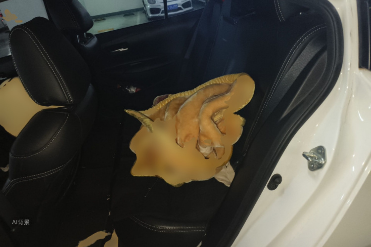 Toyota Corolla 2020 imagen de coche #19