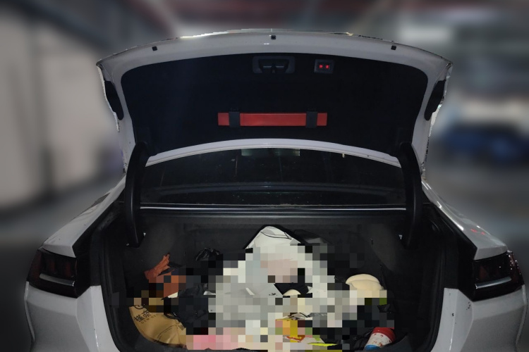 BYD Han 2021 car image #17