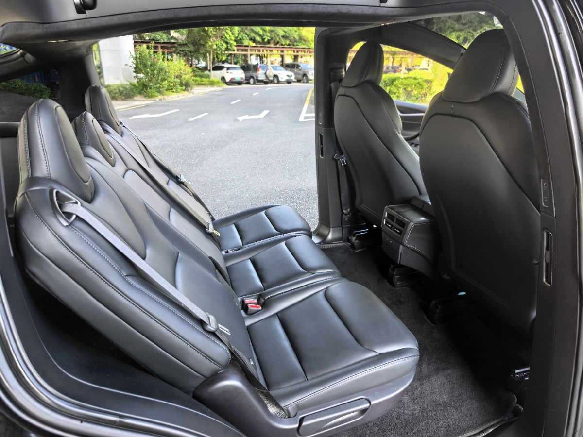 Tesla Model X 2021 car image #9