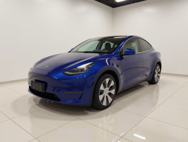 Tesla Model Y 2021 immagine di auto 