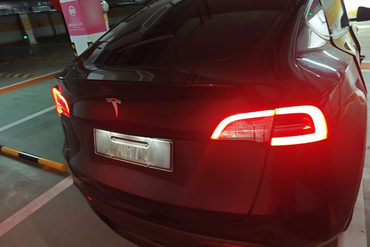 Tesla Model Y 2022 #6 Tesla Model Y 2022 car image #6