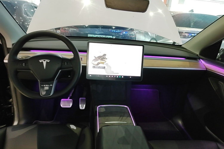 Tesla Model Y 2021 #10 Tesla Model Y 2021 car image #10