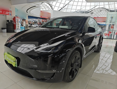 Tesla Model Y 2023 Tesla Model Y 2023 car image