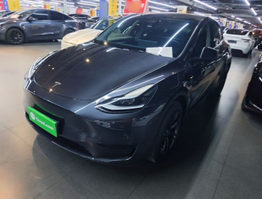 Tesla Model Y 2024 Tesla Model Y 2024 car image