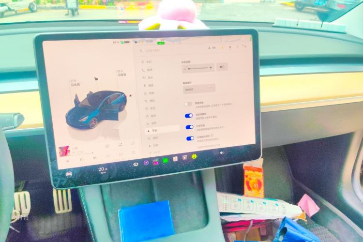 Tesla Model 3 2022 car image #13