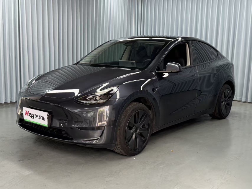 Tesla Model Y 2024 Tesla Model Y 2024 car image