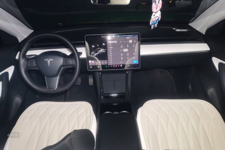 Tesla Model 3 2020 car image #11