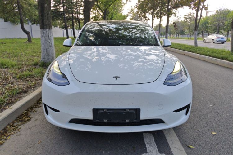 Tesla Model Y 2022 immagine di auto #3