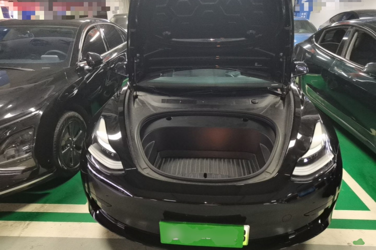 Tesla Model 3 2021 immagine di auto #20