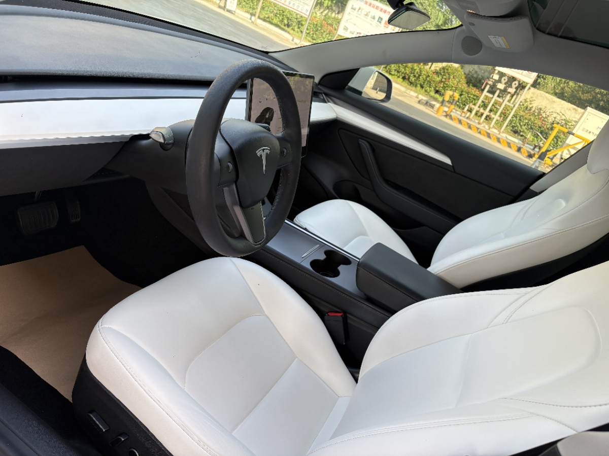 Tesla Model 3 2021 car image #4