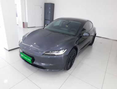 Tesla Model 3 2024 Tesla Model 3 2024 car image