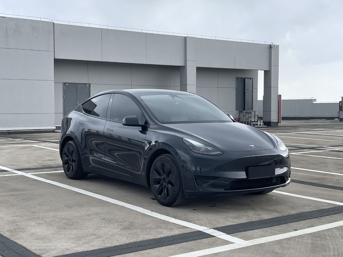 Tesla Model Y 2024 car image #3