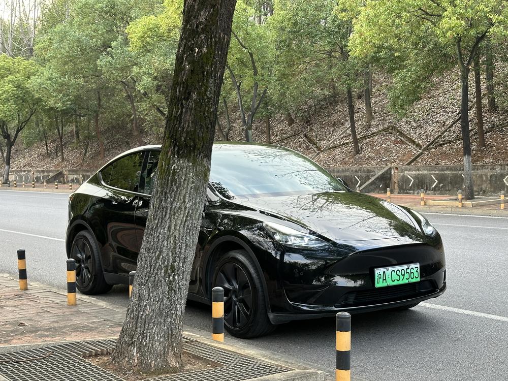 Tesla Model Y 2023 #3 Tesla Model Y 2023 immagine di auto #3