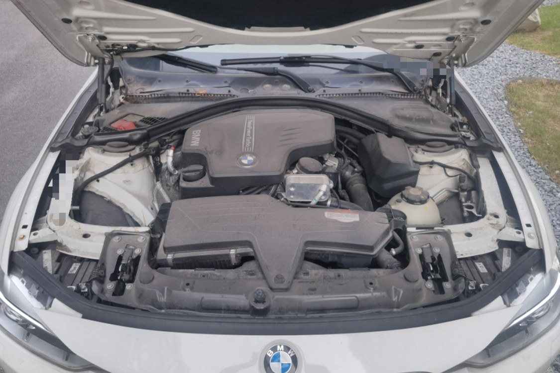 BMW 3 Series 2014 car image #10