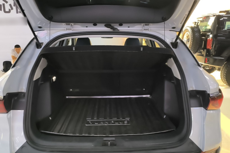 BYD Yuan Plus 2022 car image #21