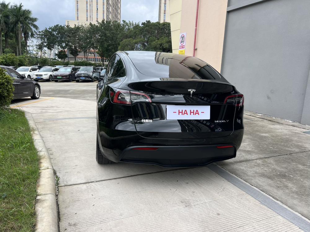 Tesla Model Y 2021 car image #4