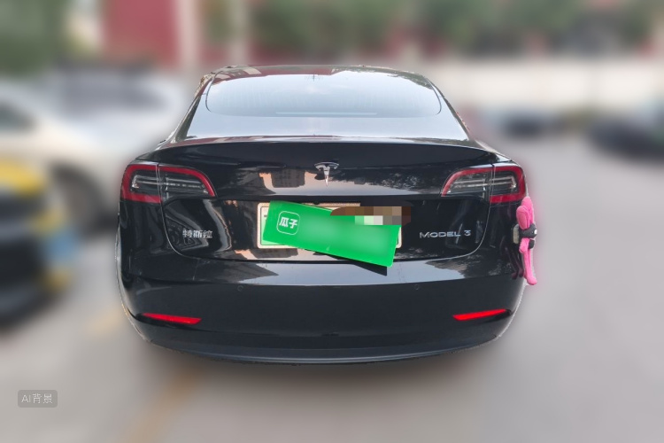 Tesla Model 3 2020 car image #6