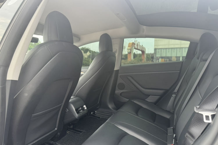Tesla Model 3 2021 #17 Tesla Model 3 2021 car image #17