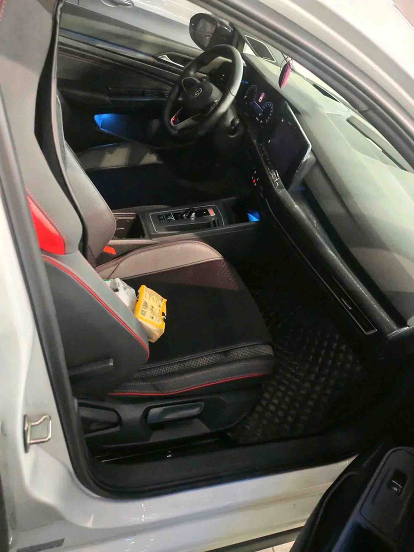 大众 高尔夫GTI 2022 汽车图片 #2